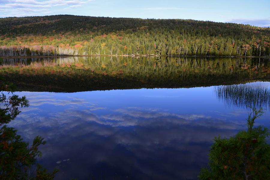 Acadia National Park - Seal Cove Pond