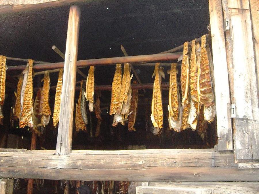 Smoking Salmon, Photo: H. Maurer, 2005