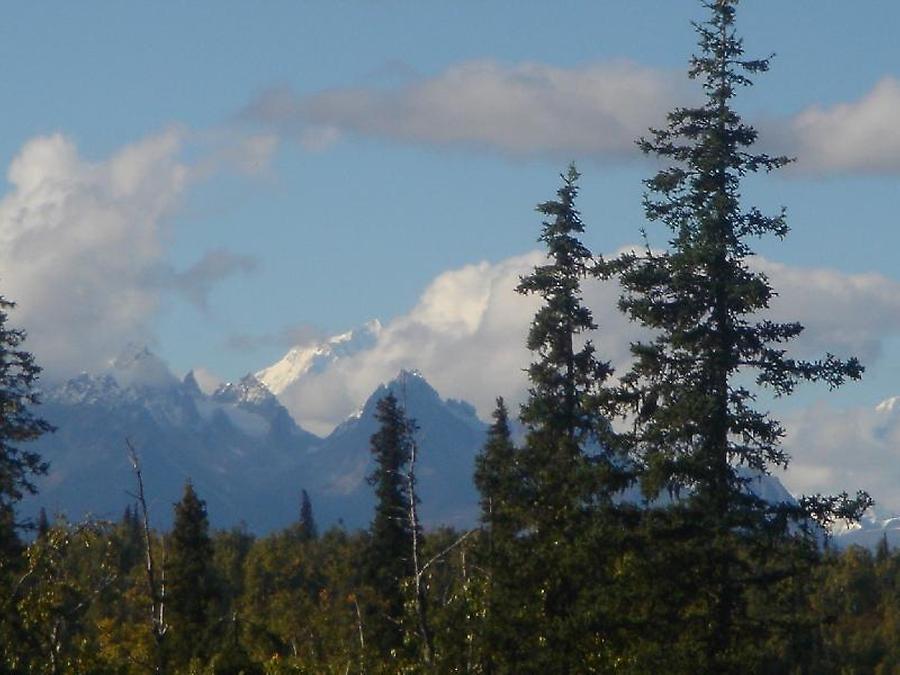 Deanali Park, Photo: H. Maurer, 2005