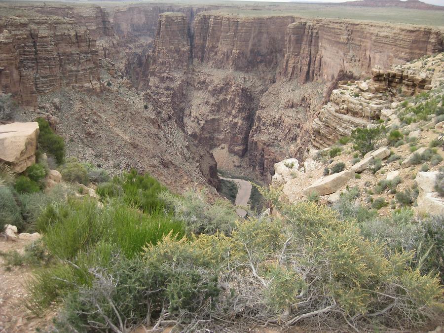 Little Colorado River Navajo Tribal Park & Little Colorado River