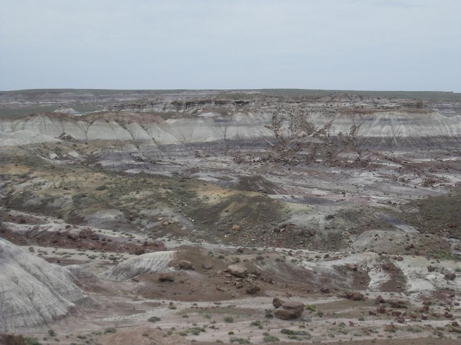 Petrified Forest Painted Desert National Park