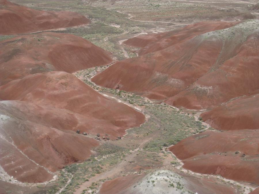 Petrified Forest Painted Desert National Park