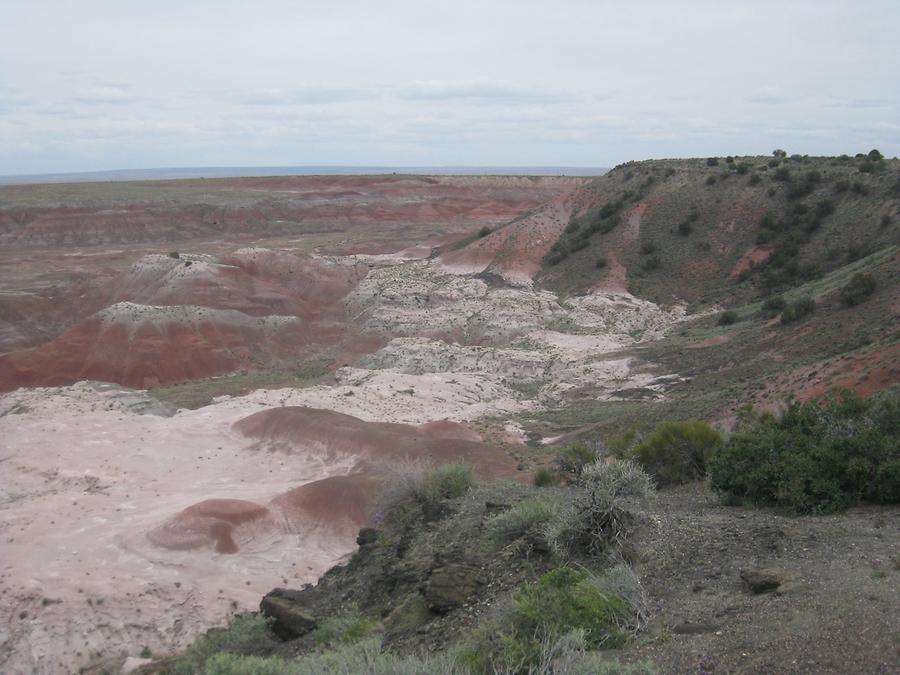 Petrified Forest Painted Desert National Park