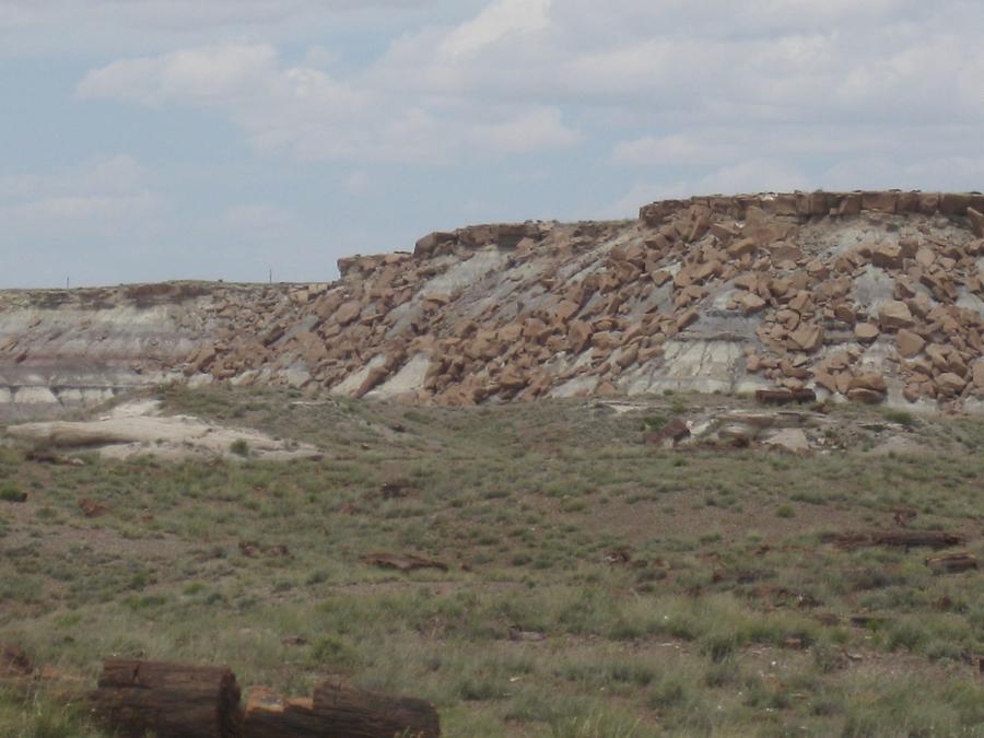 Petrified Forest Painted Desert National Park