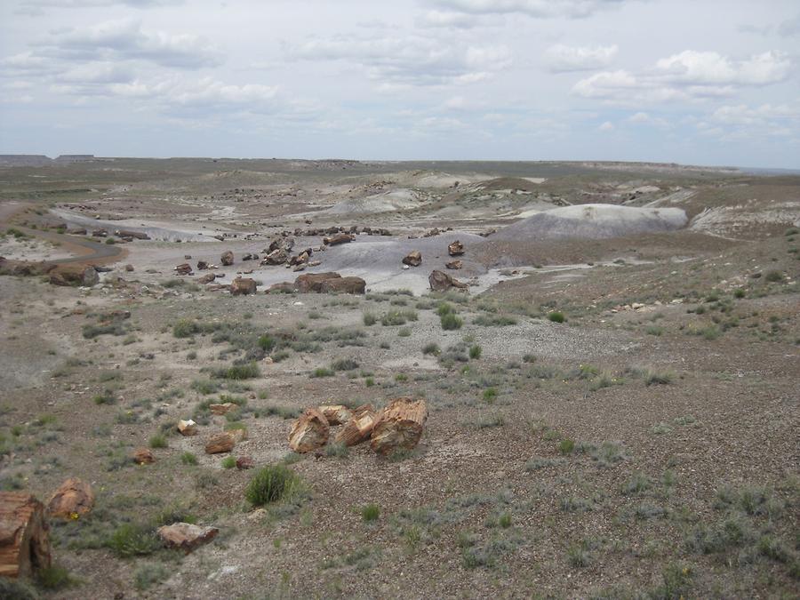 Petrified Forest Painted Desert National Park