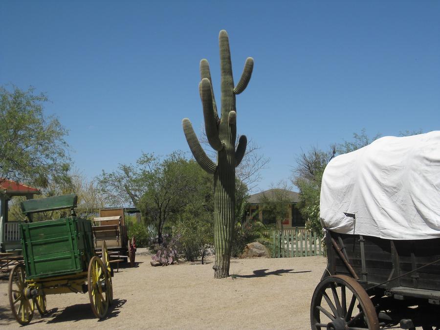 Tucson Old Tucson