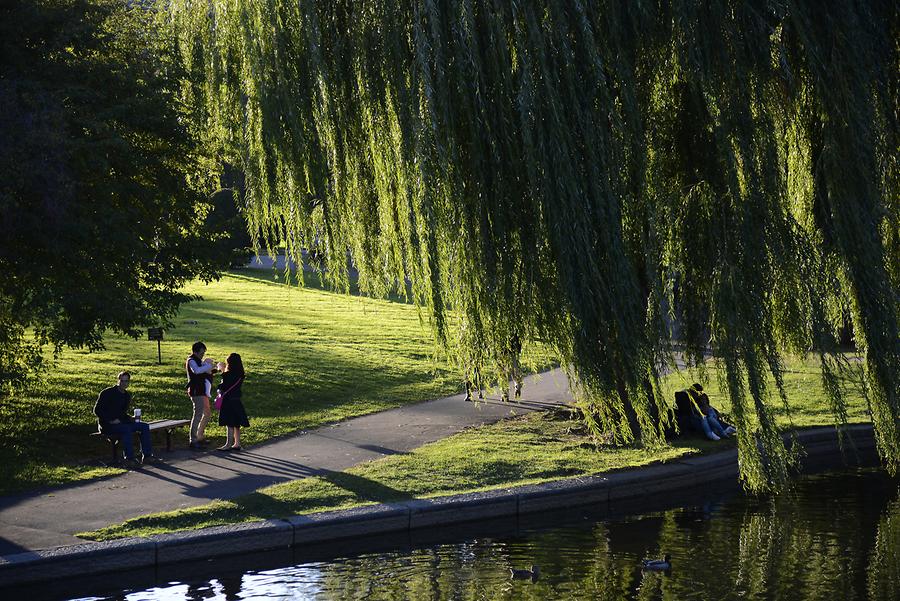 Boston Common