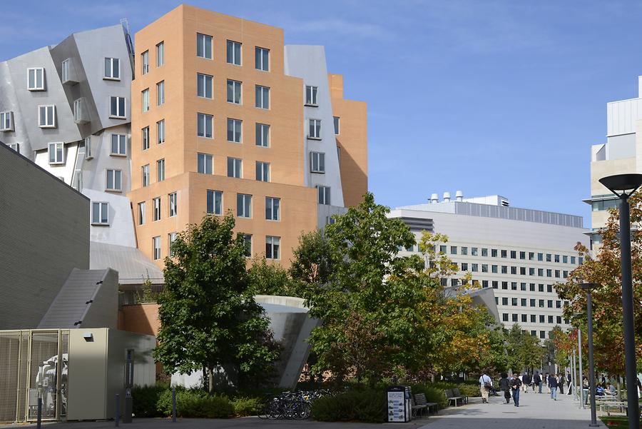 Cambridge - Massachusetts Institute of Technology; Ray and Maria Stata Center