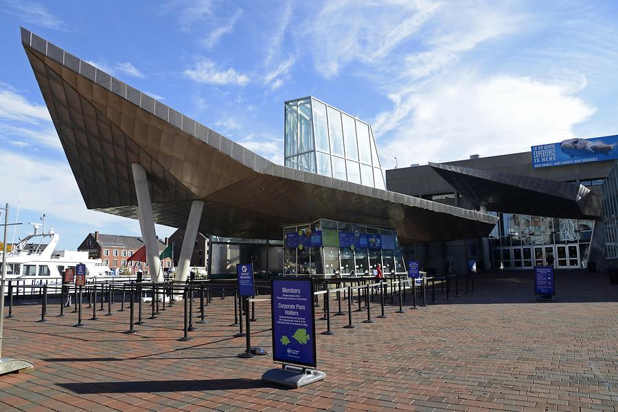 New England Aquarium