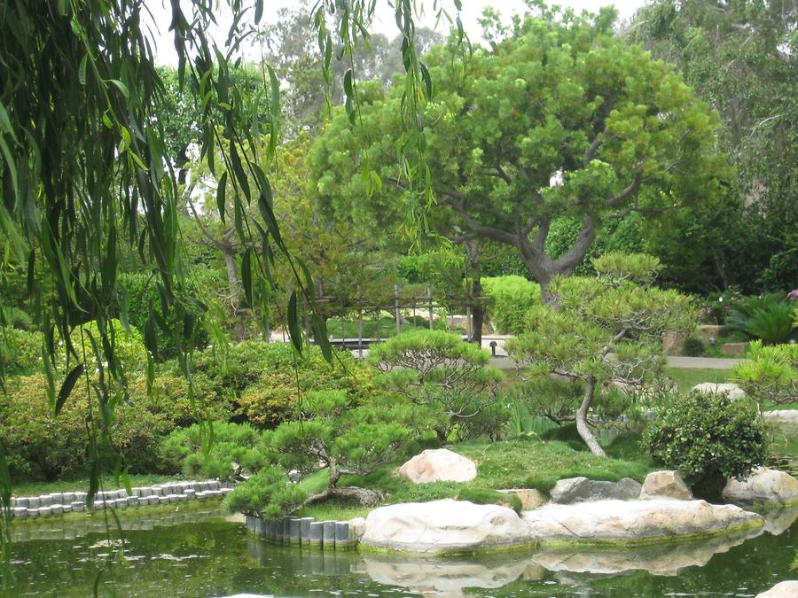 LA MA Long Beach Earl Burns Miller Japanese Garden CSULB