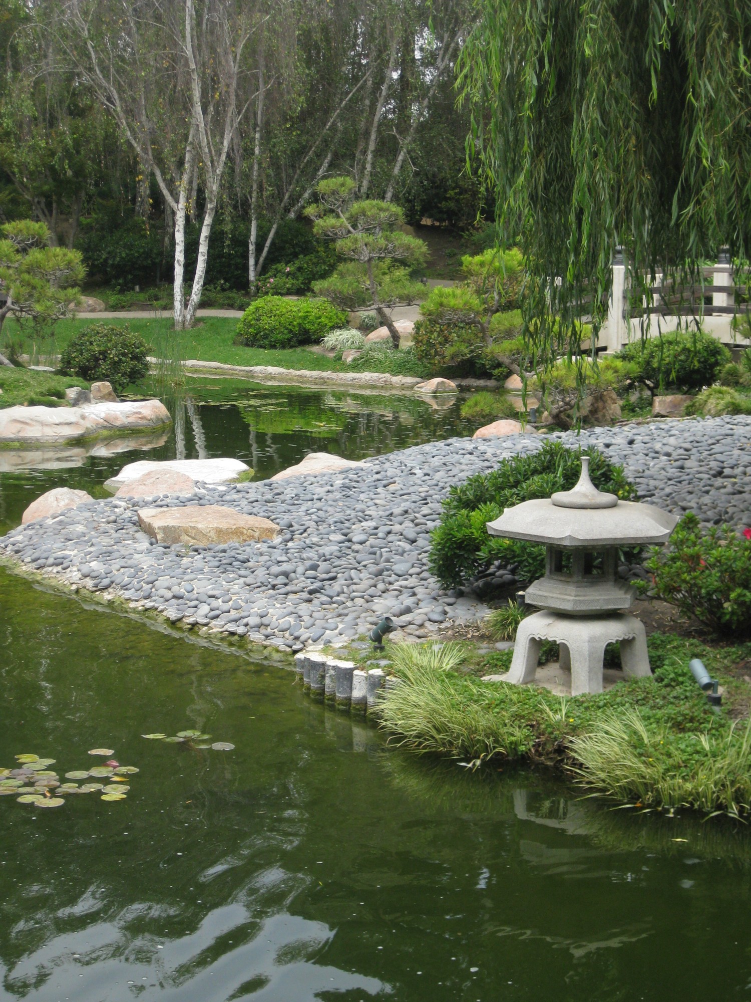La Ma Long Beach Earl Burns Miller Japanese Garden Csulb 15