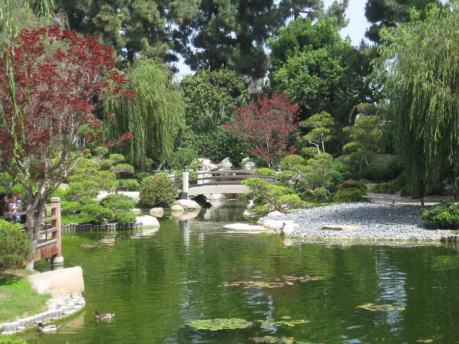 LA MA Long Beach Earl Burns Miller Japanese Garden CSULB