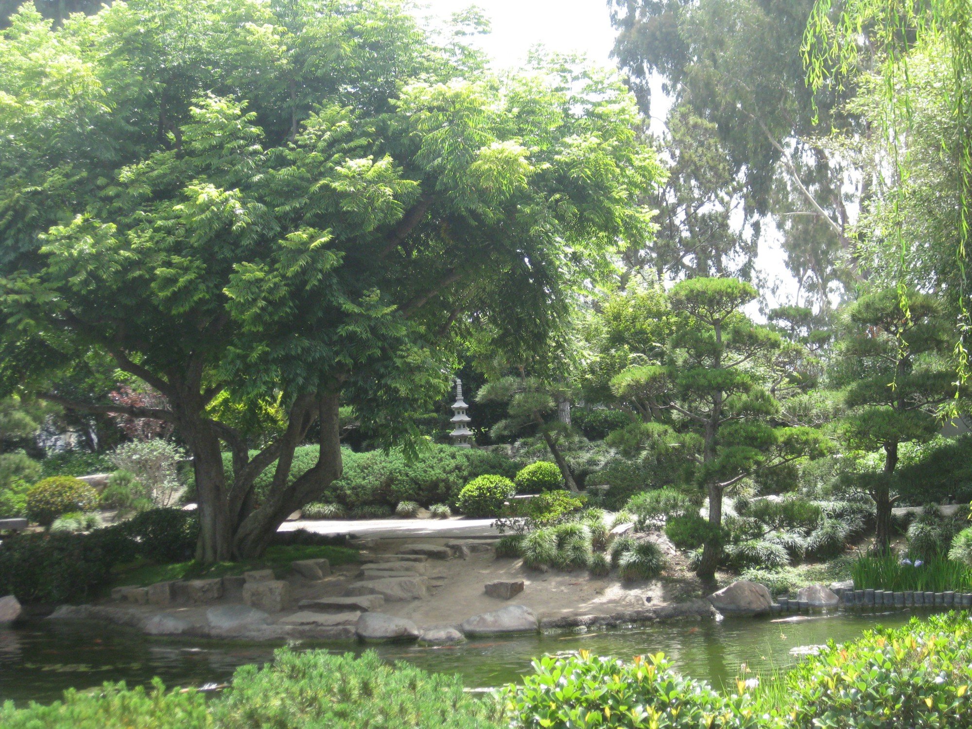 La Ma Long Beach Earl Burns Miller Japanese Garden Csulb 4