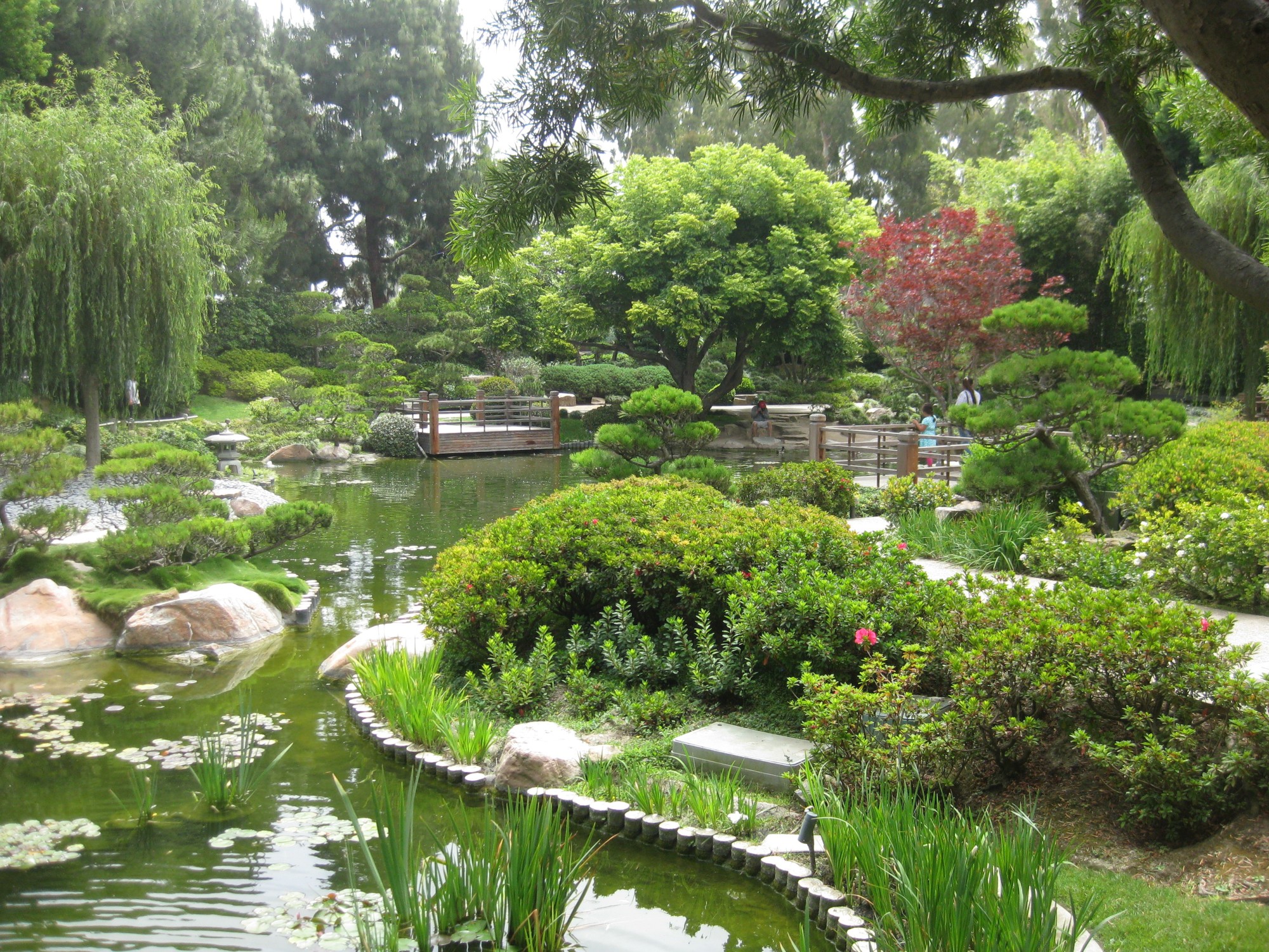 La Ma Long Beach Earl Burns Miller Japanese Garden Csulb 8