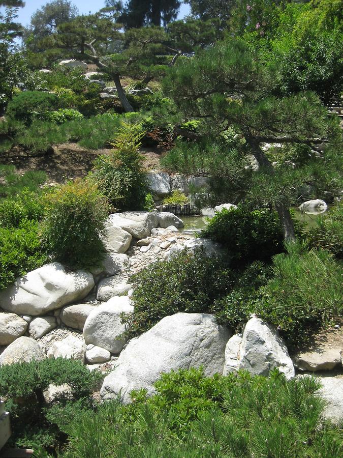 LA MA San Marino The Huntington Japanese Garden