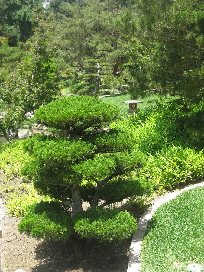 LA MA San Marino The Huntington Japanese Garden