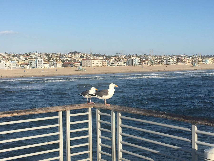 Hermosa Beach