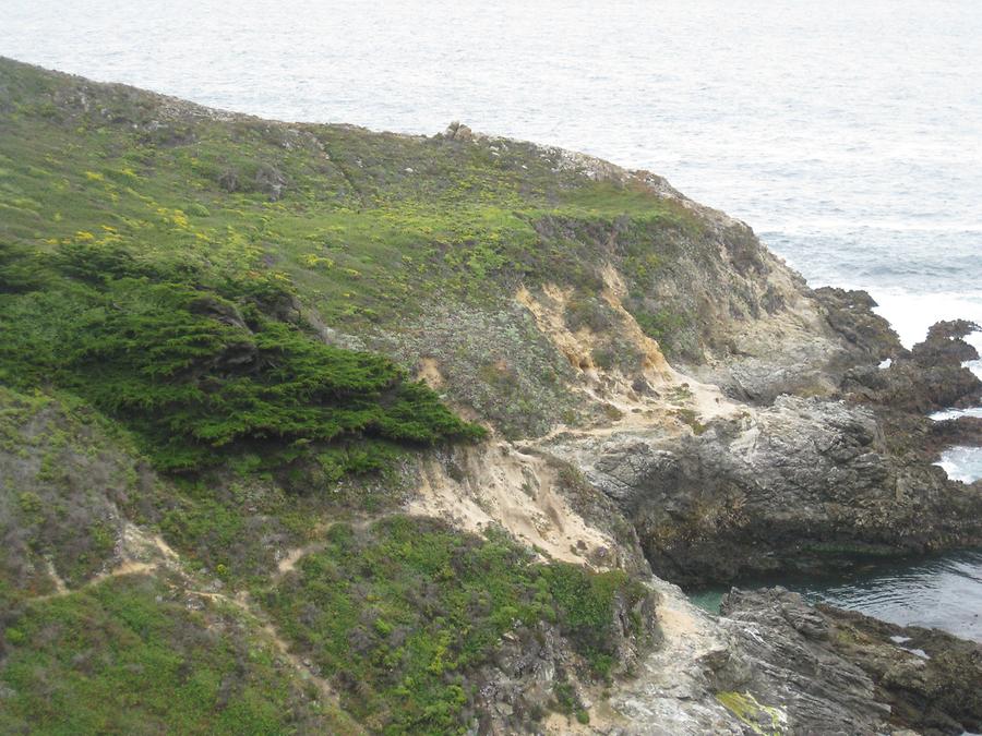 Big Sur Point Lobos