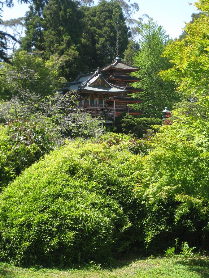 San Francisco Golden Gate Park Japanese Tea Garden