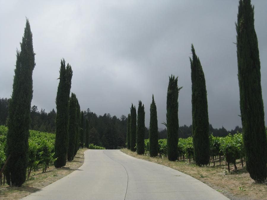 Napa Valley Calistoga Castello di Amorosa