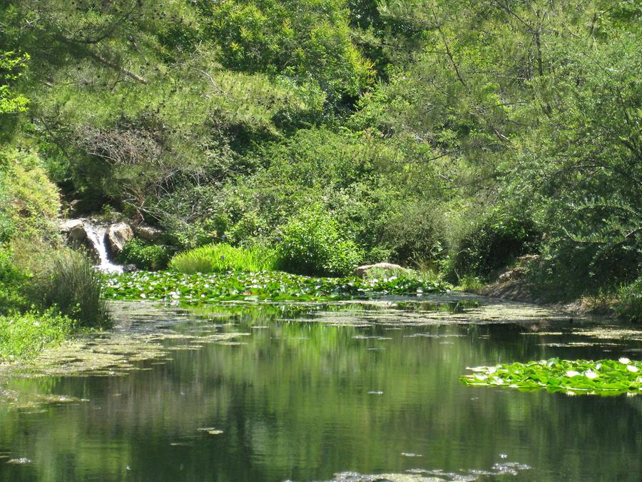 Sonoma Valley Glen Ellen Quarryhill Botanical Garden