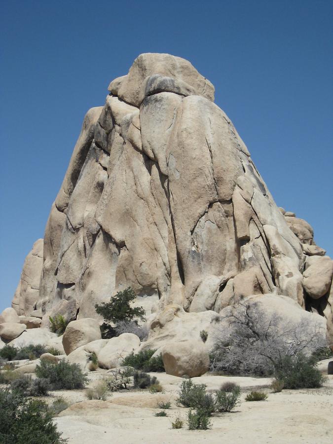 Joshua Tree National Park