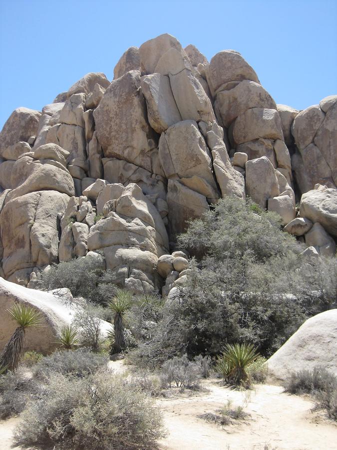 Joshua Tree National Park