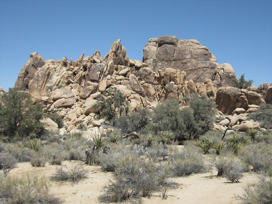 Joshua Tree National Park