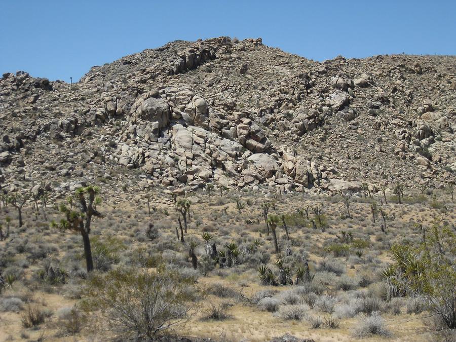 Joshua Tree National Park