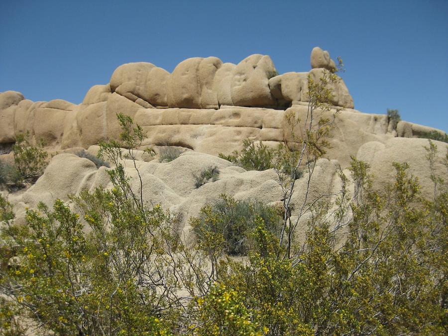 Joshua Tree National Park