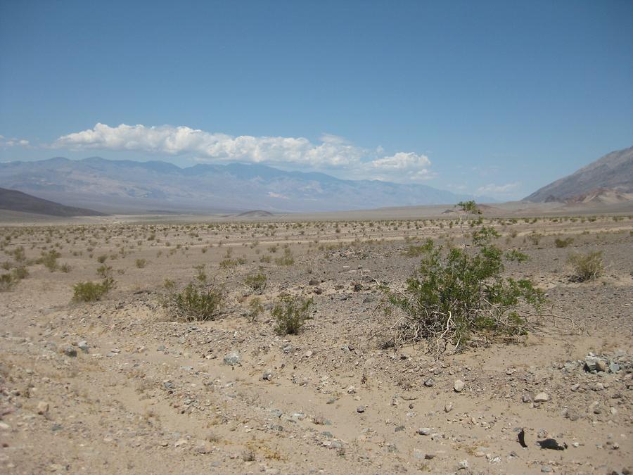 Death Valley National Park