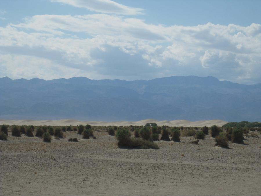 Death Valley National Park Mesquite Flat Dunes