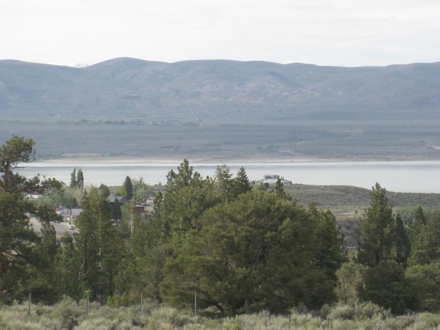 Mono Lake