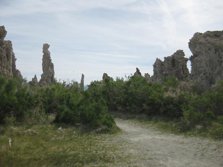 Mono Lake Tufa