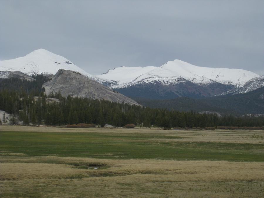 Yosemite National Park Tuolumne Meadows