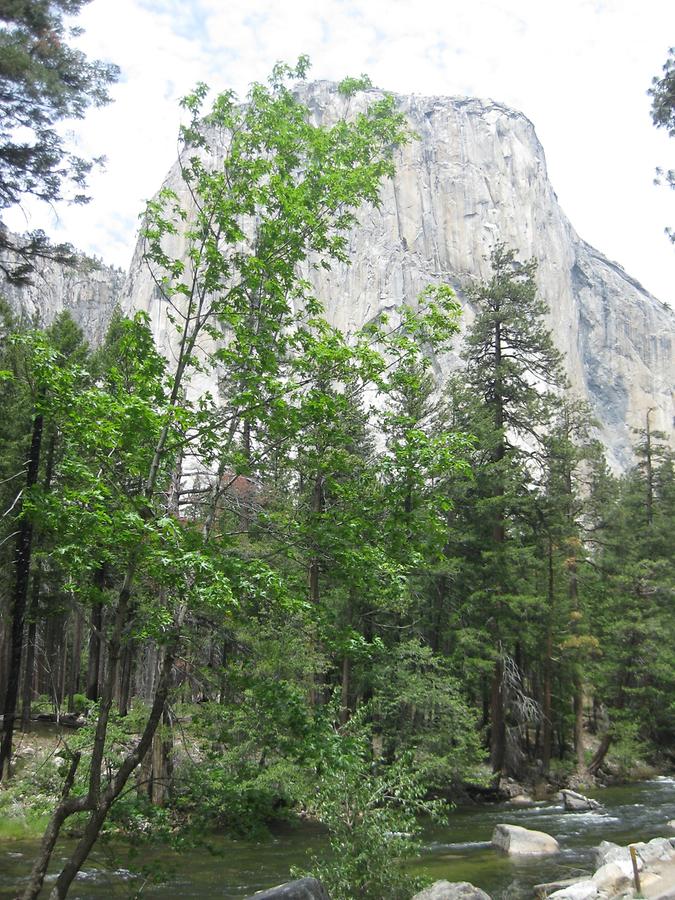 Yosemite National Park Yosemite Valley El Capitan