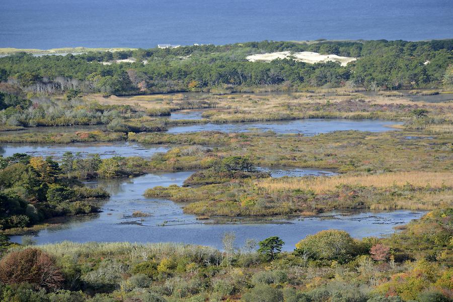 Landscape near Provincetown