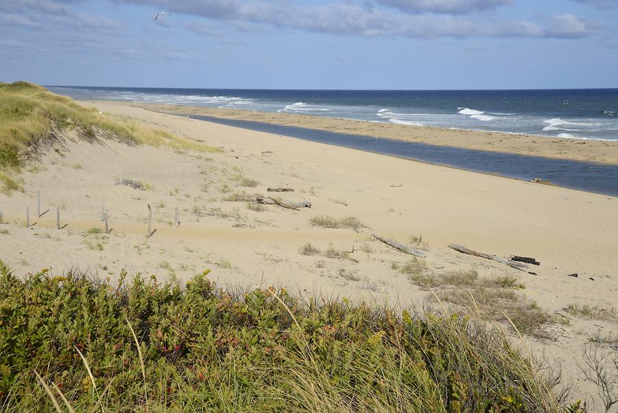 Race Point Beach Race Point Beach