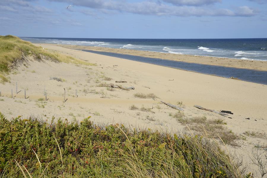 Race Point Beach