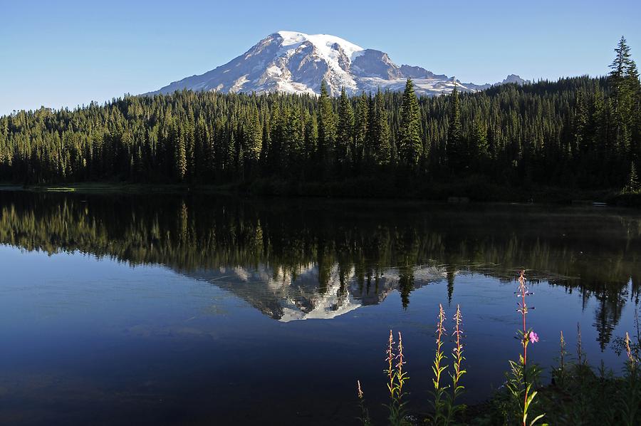 Mount Rainier - Reflection Lake