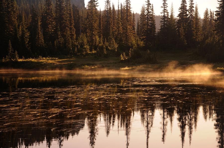 Mount Rainier - Reflection Lake