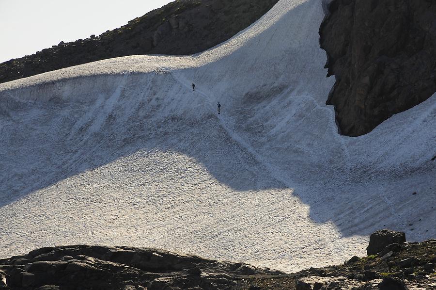 Mount Rainier - Snowfield