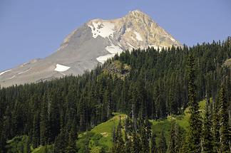 Mount St. Helens (1)