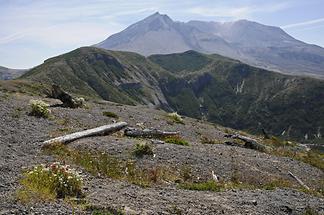 Mount St. Helens (2)