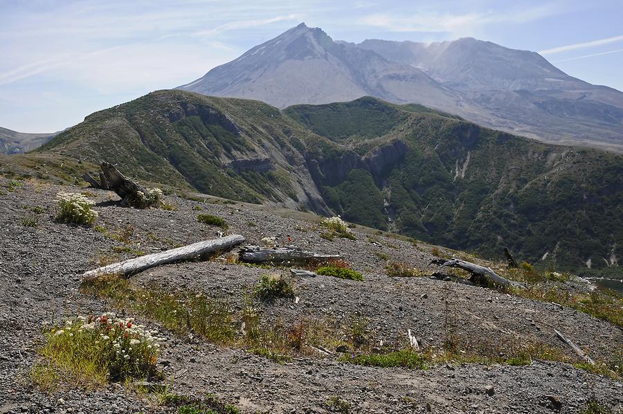 Mount St. Helens