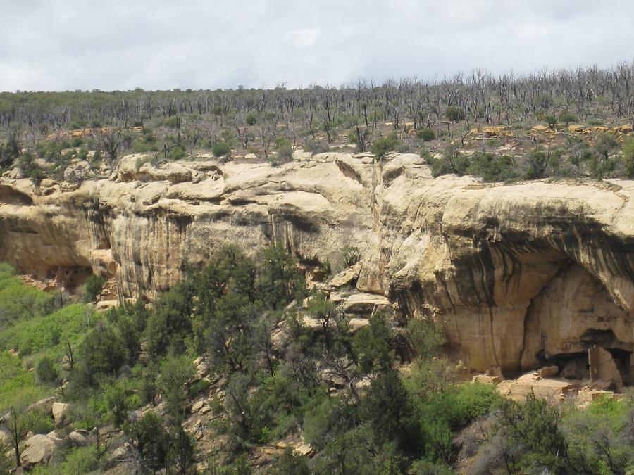 Mesa Verde National Park Cliff Dwellings