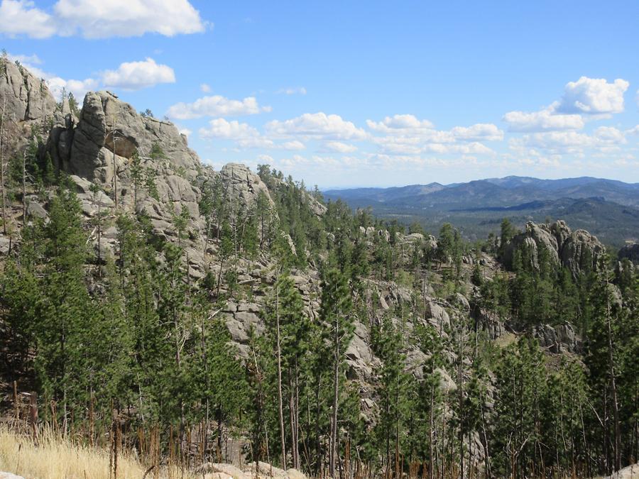 Custer State Park - The Needles