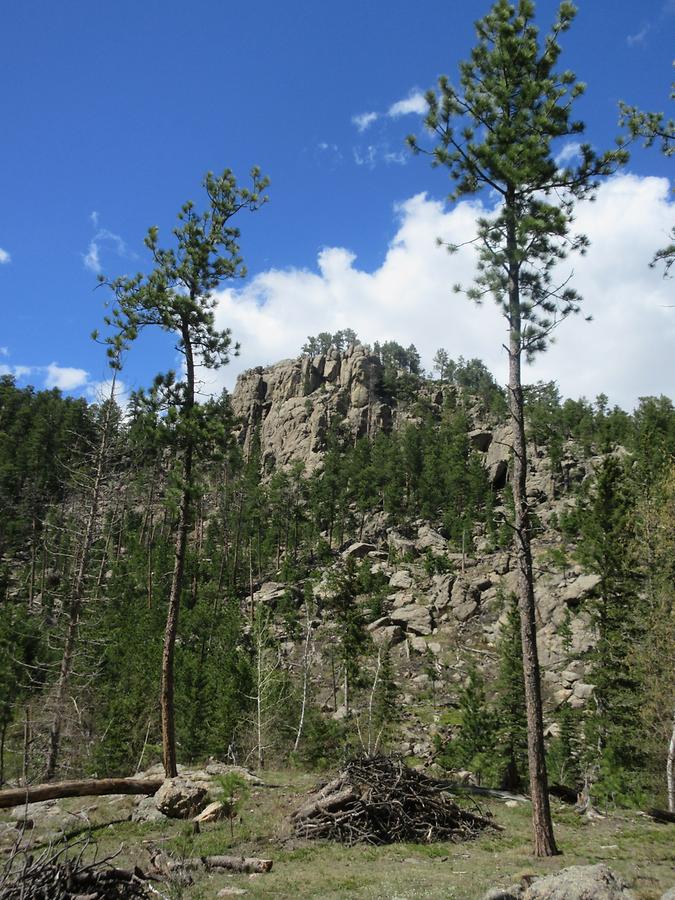 Custer State Park