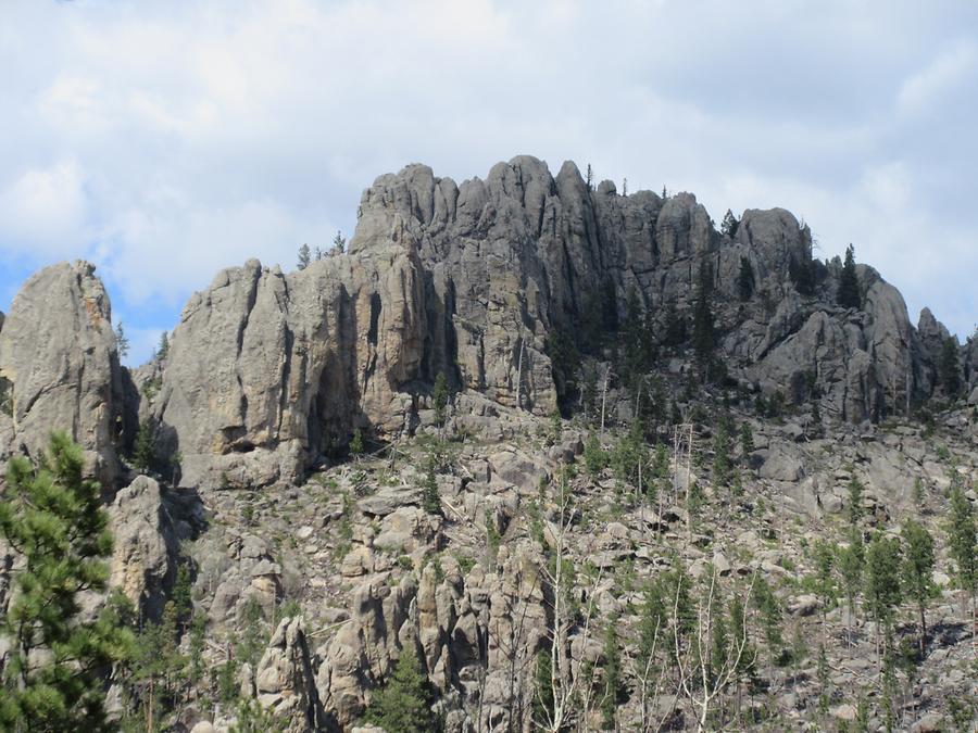 Custer State Park