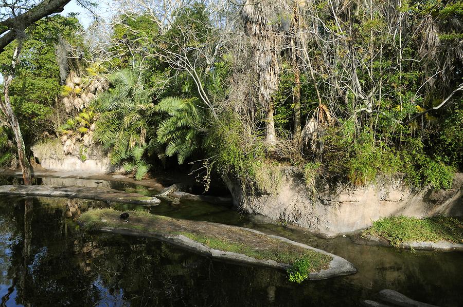 Animal Kingdom - 'Africa'; Safari